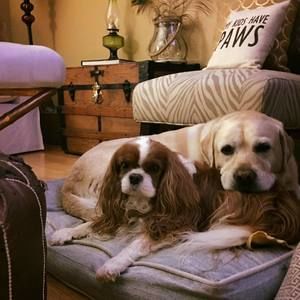 Meet your Posher, Stacy